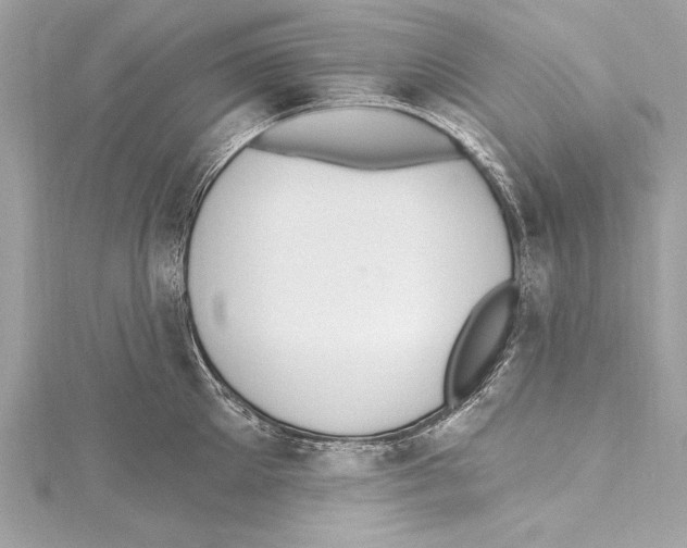 X0000115420905200912011324