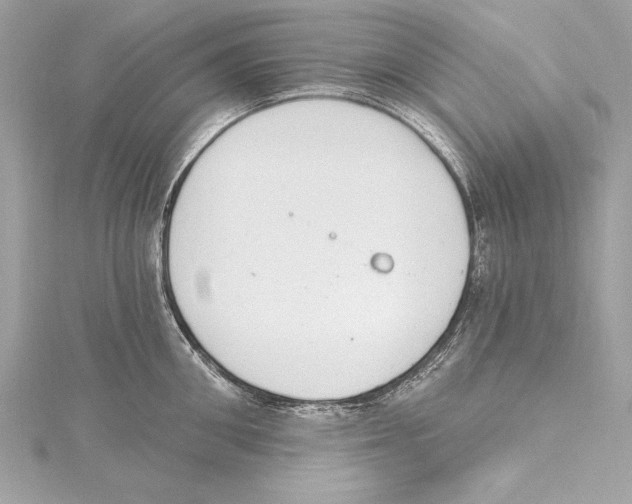 X0000115420906200912011324