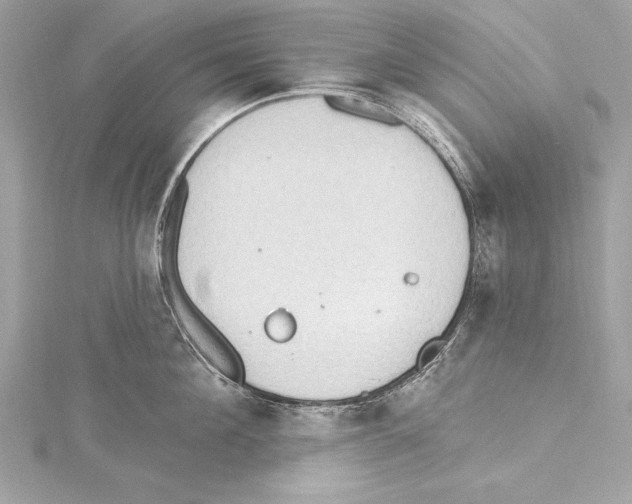 X0000115420908200912011324