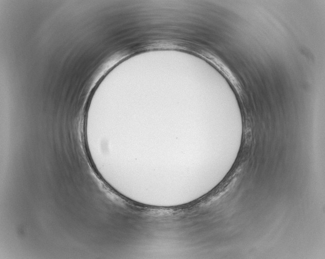 X0000115420909200912011324