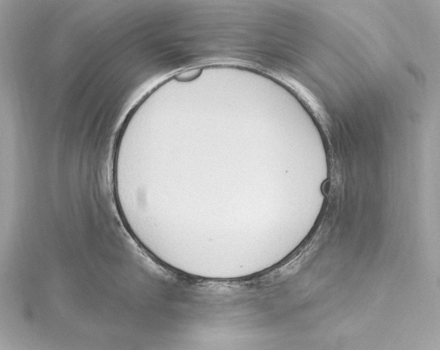 X0000115420910200912011324