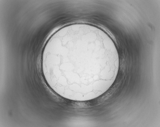 X0000115420911200912011324