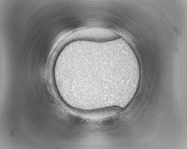 X0000115420912200912011324