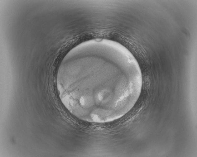 X0000115420913200912011323