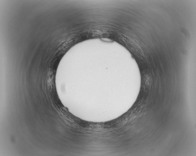 X0000115420914200912011323