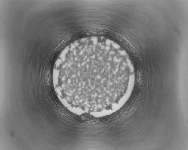 X0000115420915200912011323