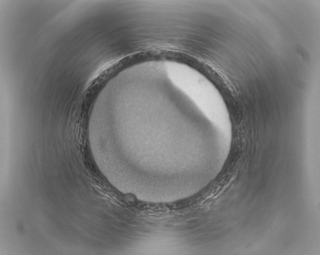 X0000115420919200912011323