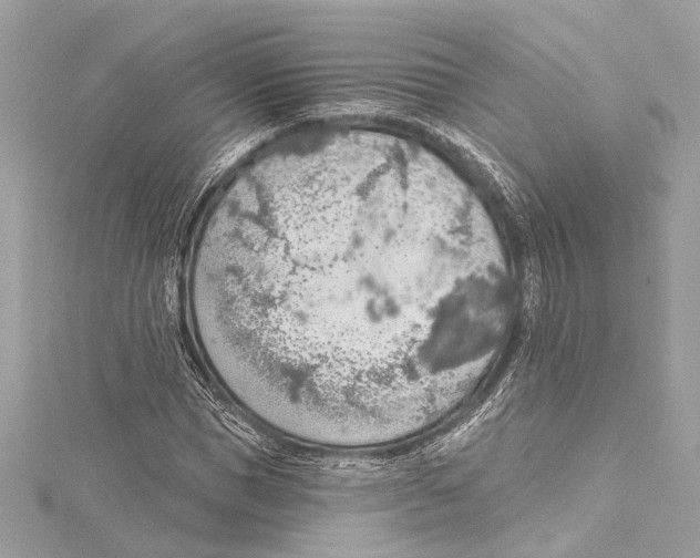 X0000115420921200912011323