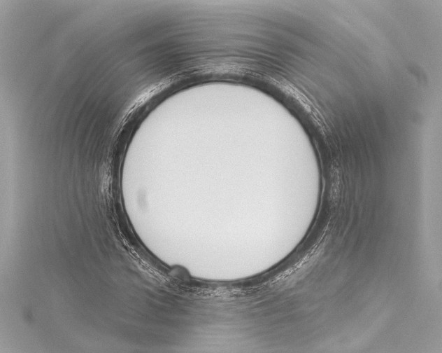 X0000115420922200912011323