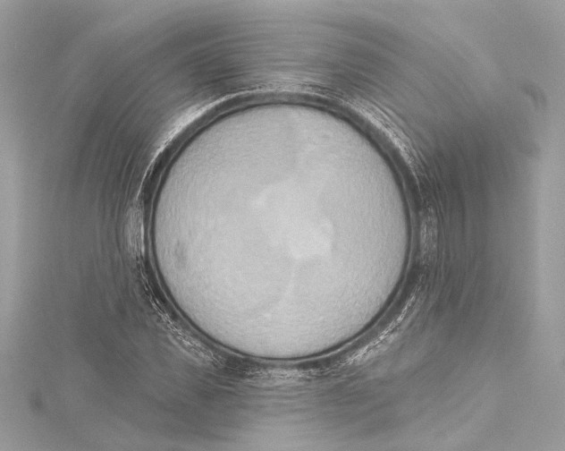 X0000115420925200912011323