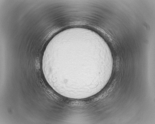 X0000115420929200912011324