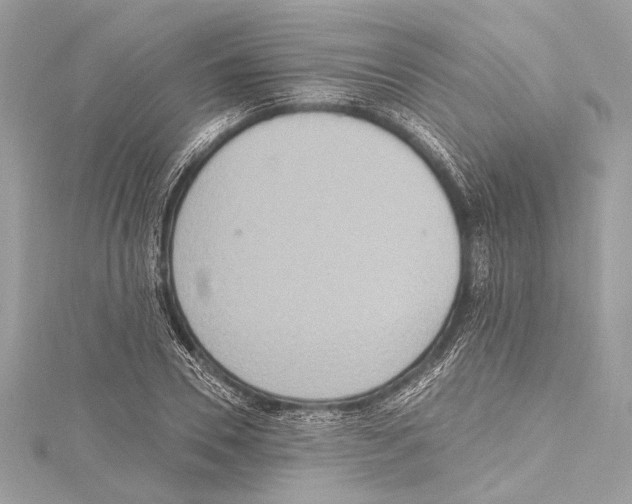 X0000115420930200912011324