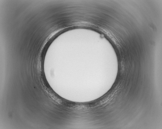 X0000115420931200912011324