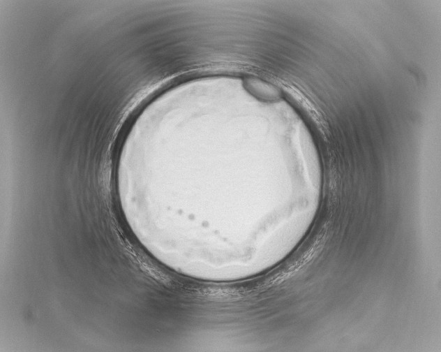 X0000115420933200912011324