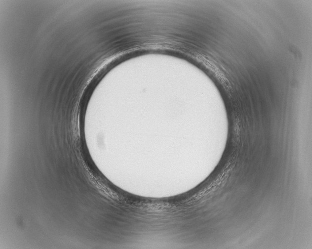 X0000115420934200912011324