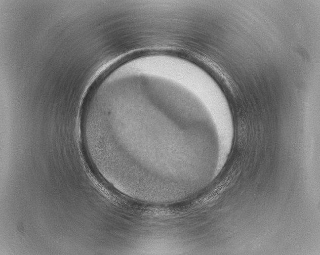 X0000115420935200912011324