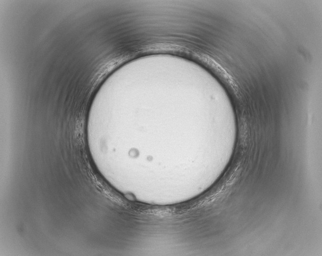 X0000115420937200912011324