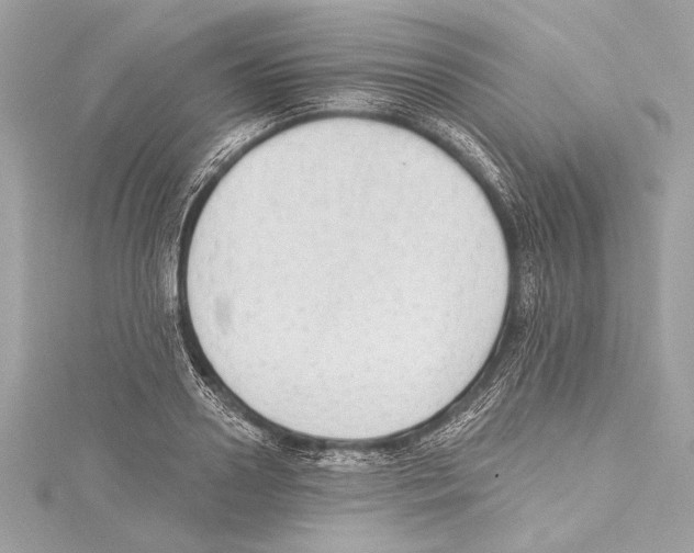 X0000115420938200912011324