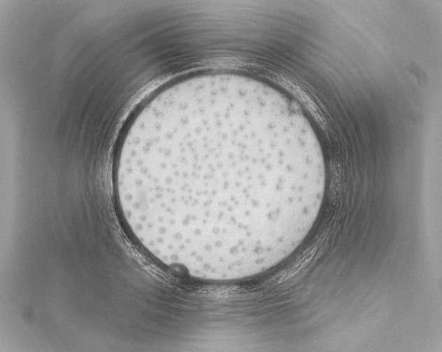 X0000115420939200912011324