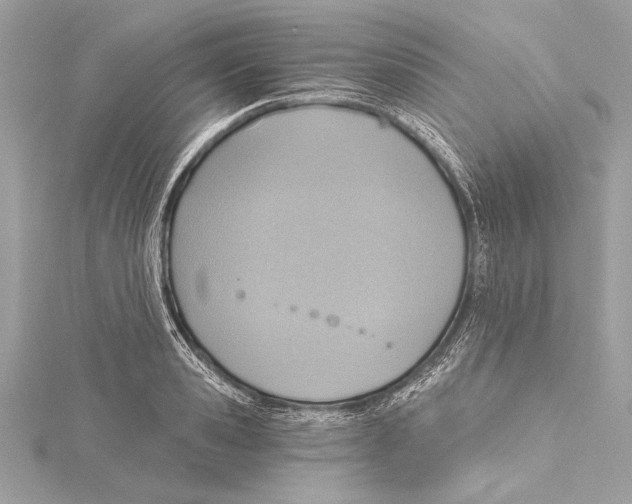 X0000115420941200912011324