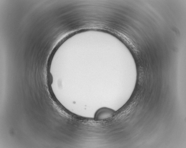 X0000115420942200912011324