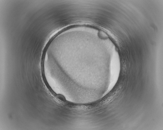 X0000115420943200912011324