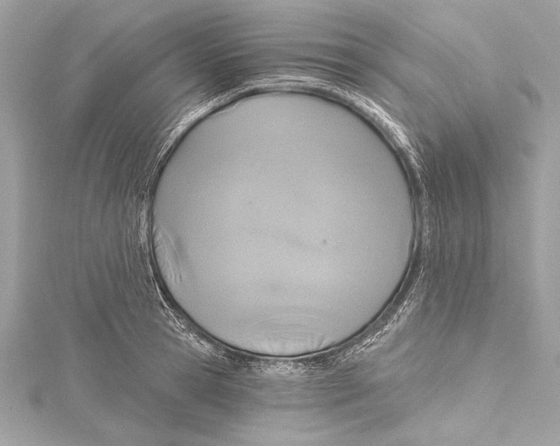 X0000115420945200912011324