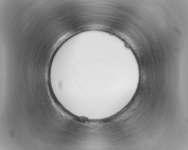 X0000115420946200912011324