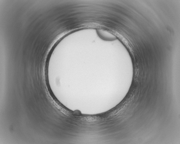 X0000115420947200912011324