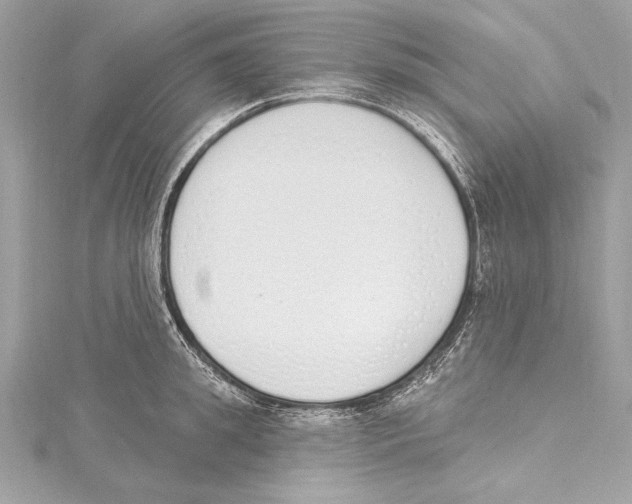 X0000115420949200912011324