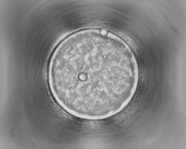 X0000115420950200912011324