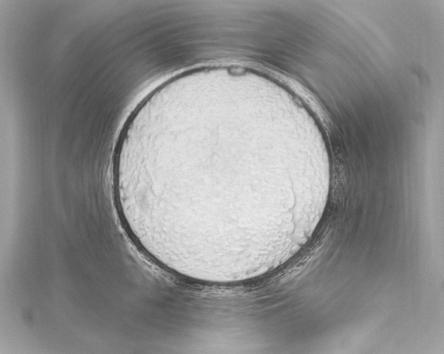 X0000115420951200912011324