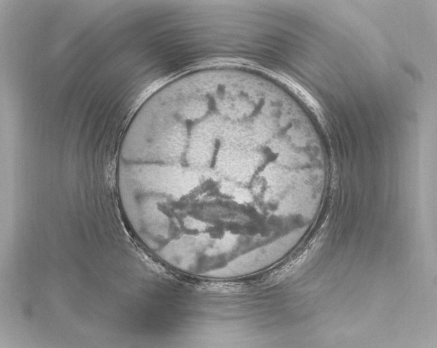 X0000115420953200912011324