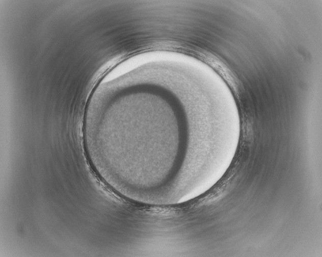 X0000115420954200912011324