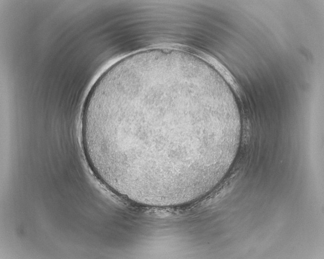 X0000115420955200912011324