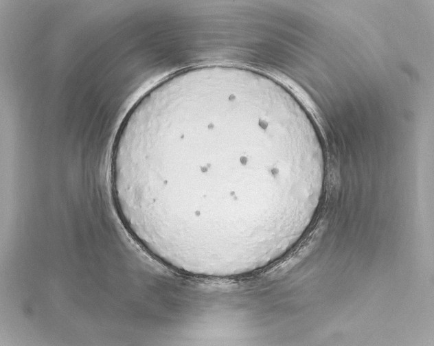 X0000115420957200912011324