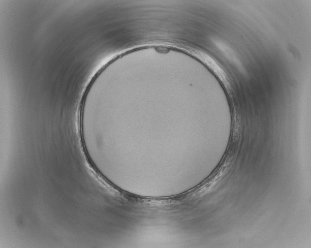 X0000115420958200912011324