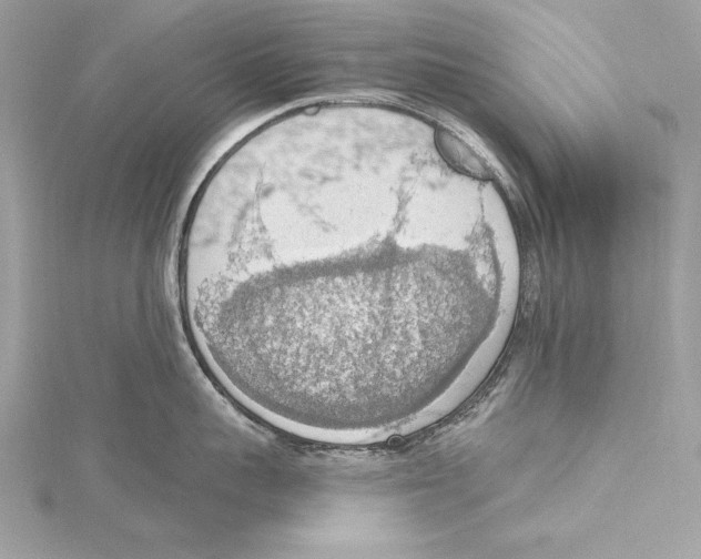 X0000115420959200912011324