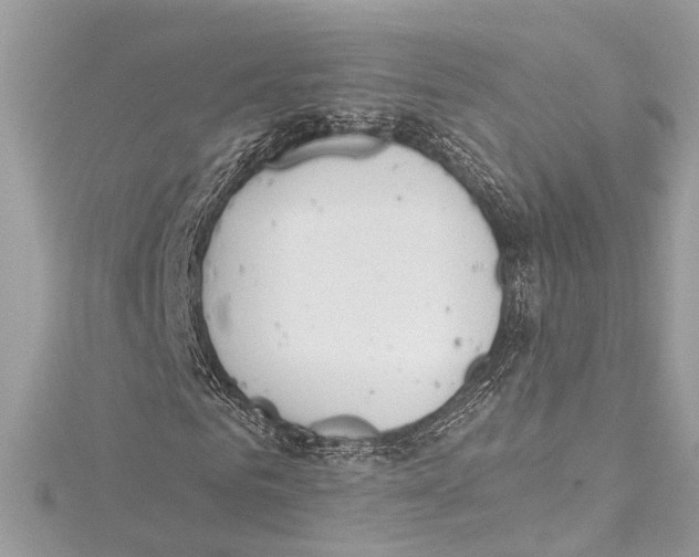 X0000115420961200912011323