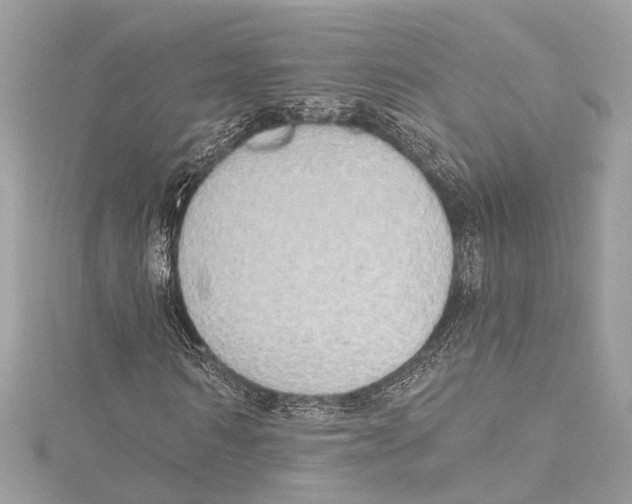 X0000115420962200912011323