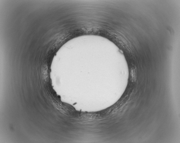 X0000115420963200912011323