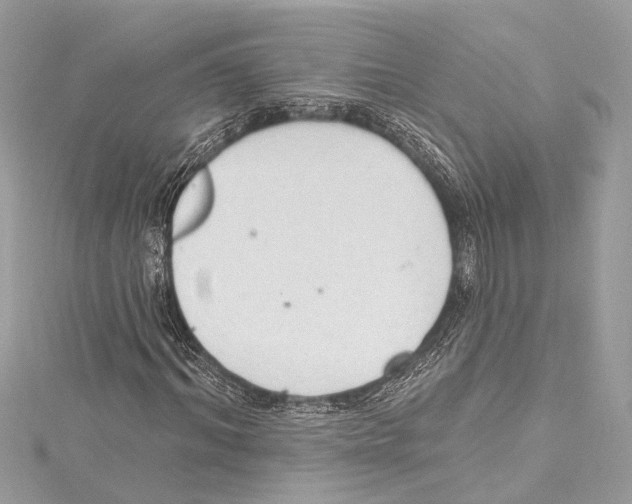 X0000115420964200912011323