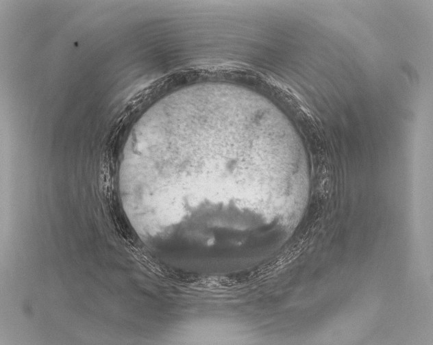 X0000115420966200912011323