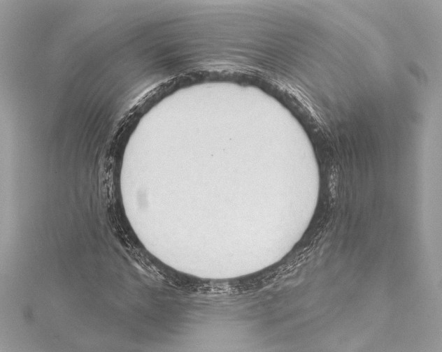 X0000115420968200912011323