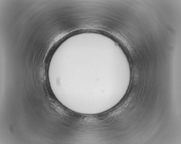 X0000115420974200912011323