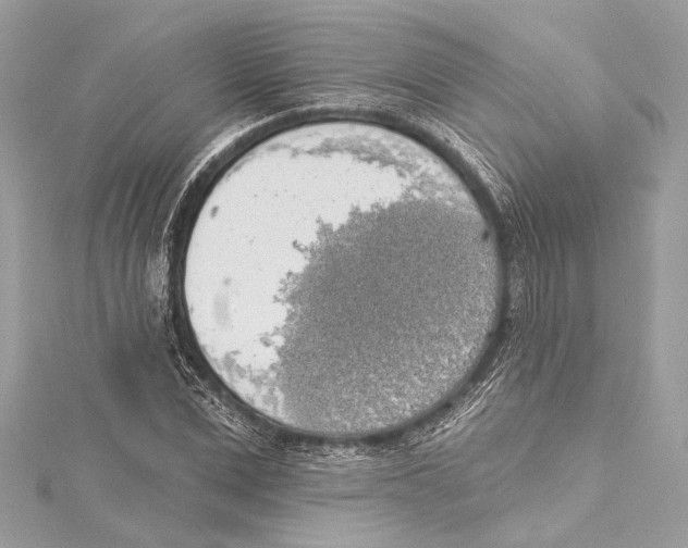 X0000115420975200912011323