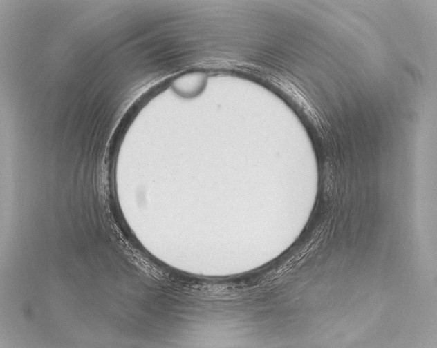 X0000115420976200912011323