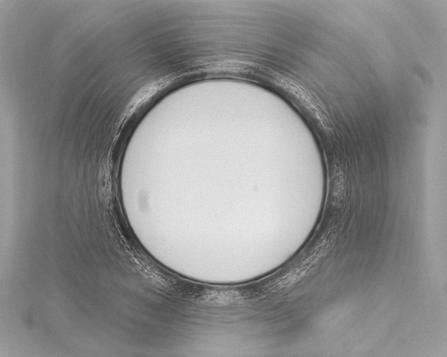 X0000115420978200912011323