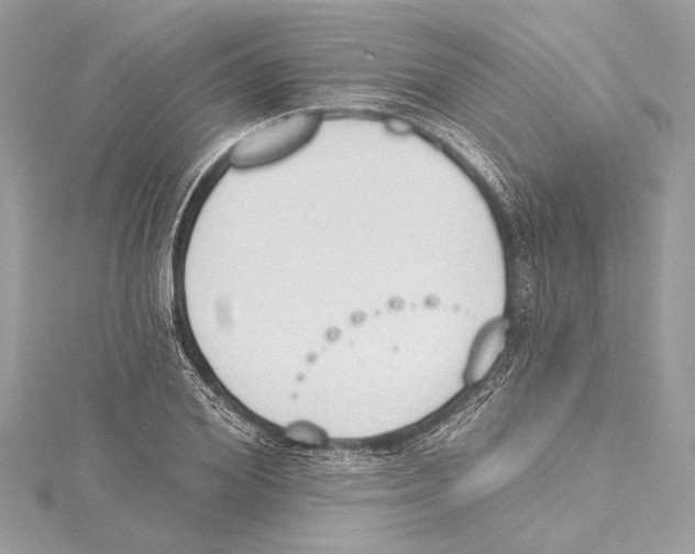 X0000115420980200912011323