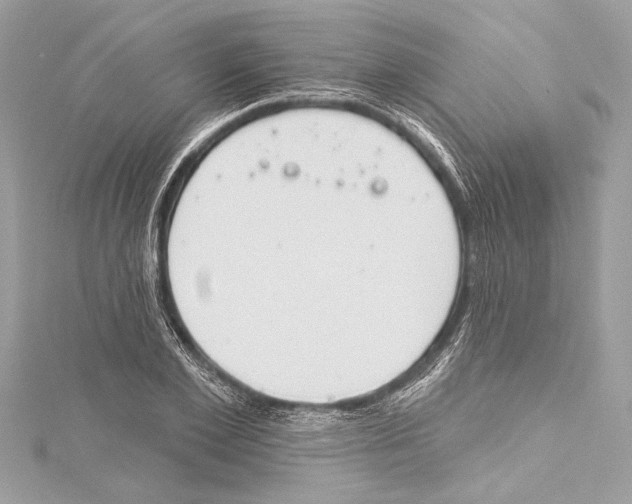 X0000115420981200912011323